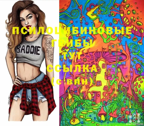 спайс Богородицк