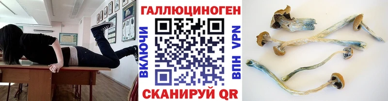 omg ССЫЛКА  Пойковский  Галлюциногенные грибы Psilocybe 